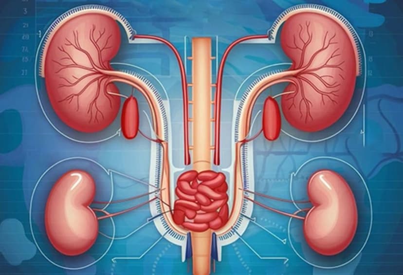 UROLOGY
