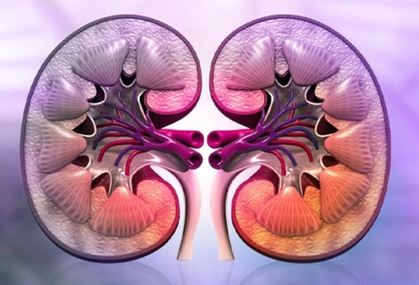 NEPHROLOGY