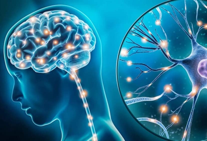 NEUROLOGY