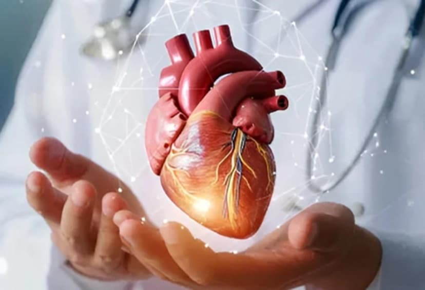 CARDIOLOGY