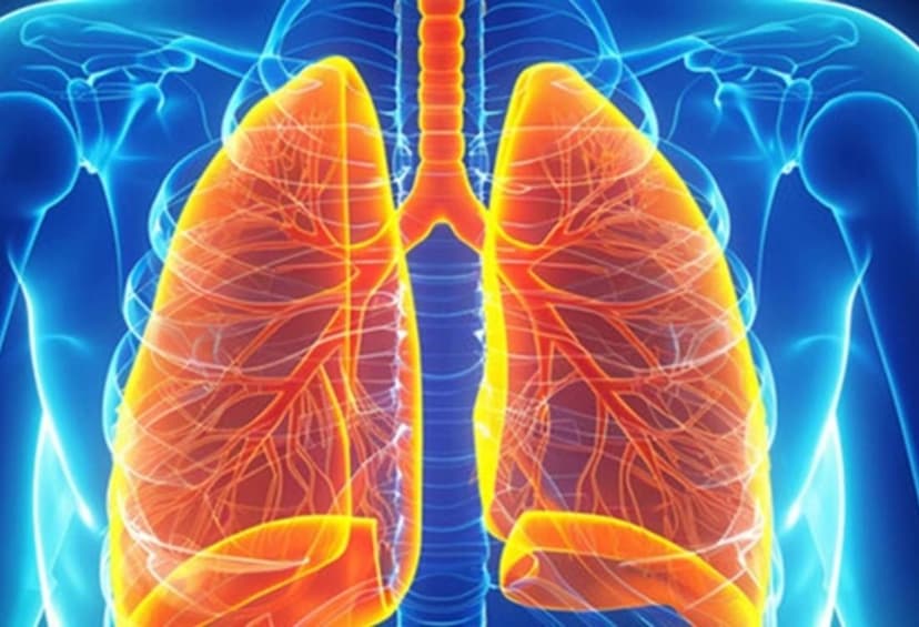 PULMONOLOGY