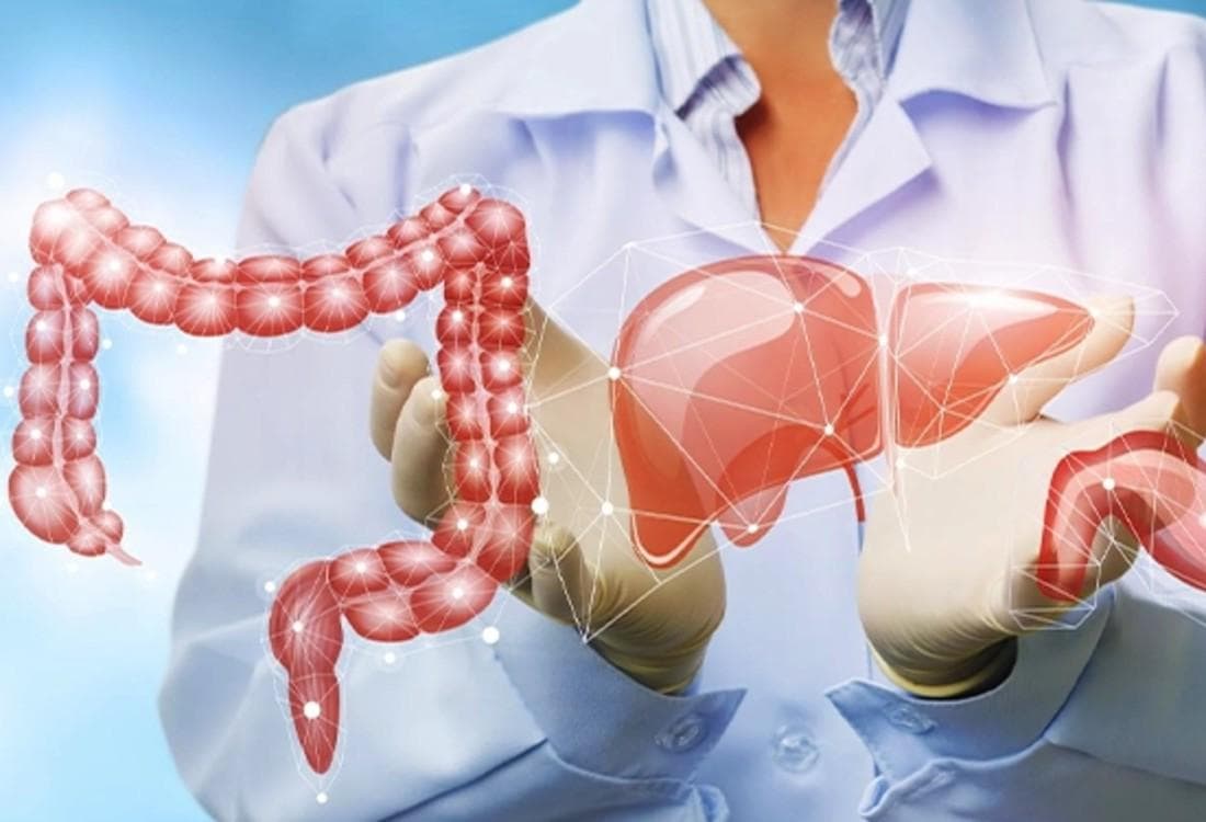 GASTROENTEROLOGY / HEPATOLOGY